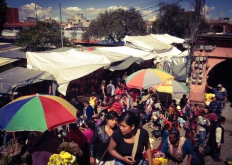 The Market: Local shopping